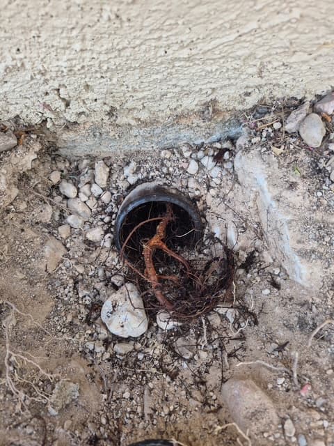 Gallery photos for Root-Invaded Sewer Line Replacement Under the Slab in Las Vegas: Image #3